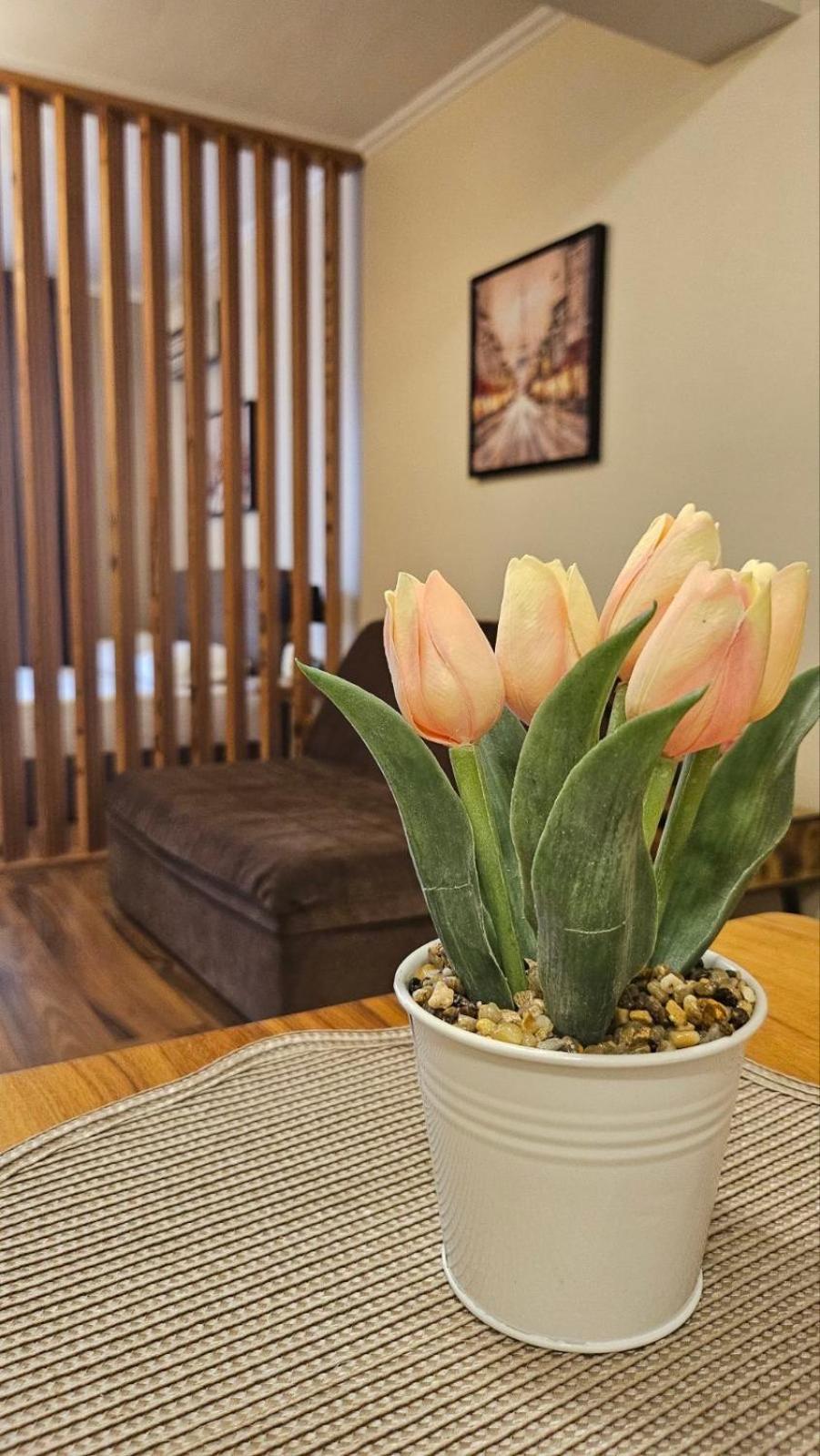 Apartment 7 And Studio 2 Quietly And Peaceful Place To Relax Sozopol Esterno foto